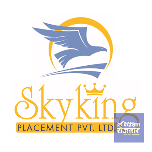 Skyking Placement Pvt. Ltd.
